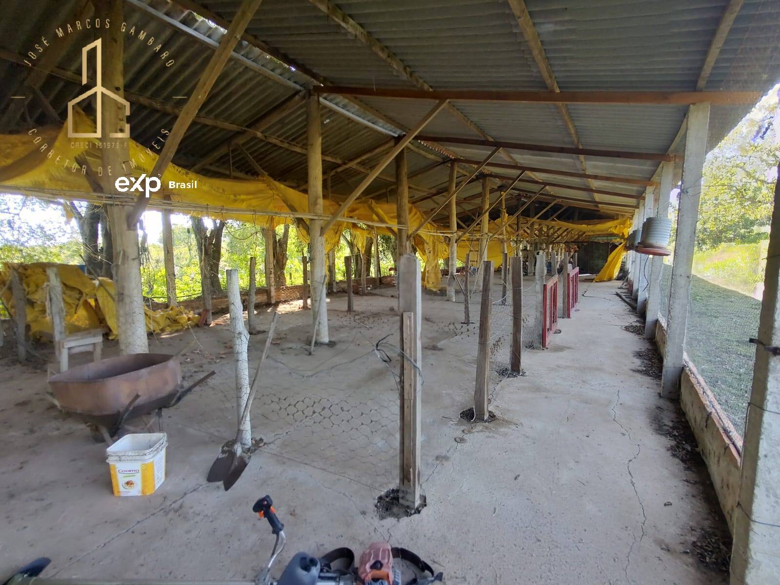 Fazenda à venda com 3 quartos, 3500m² - Foto 22