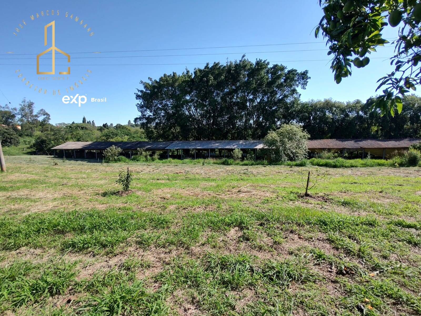 Fazenda à venda com 3 quartos, 3500m² - Foto 26