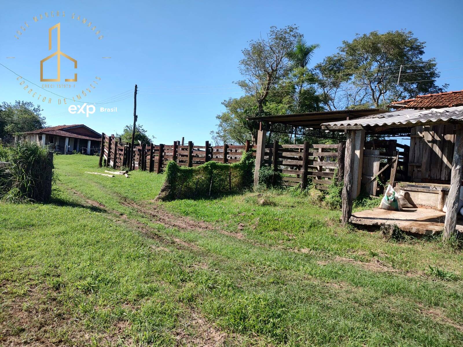 Fazenda à venda com 3 quartos, 3500m² - Foto 27